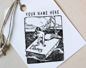 Sello Ex Libris personalizado, placa de libro de imprenta personalizada, sello de biblioteca personalizable, sello de regalo personalizado, SIRENA -2140180320