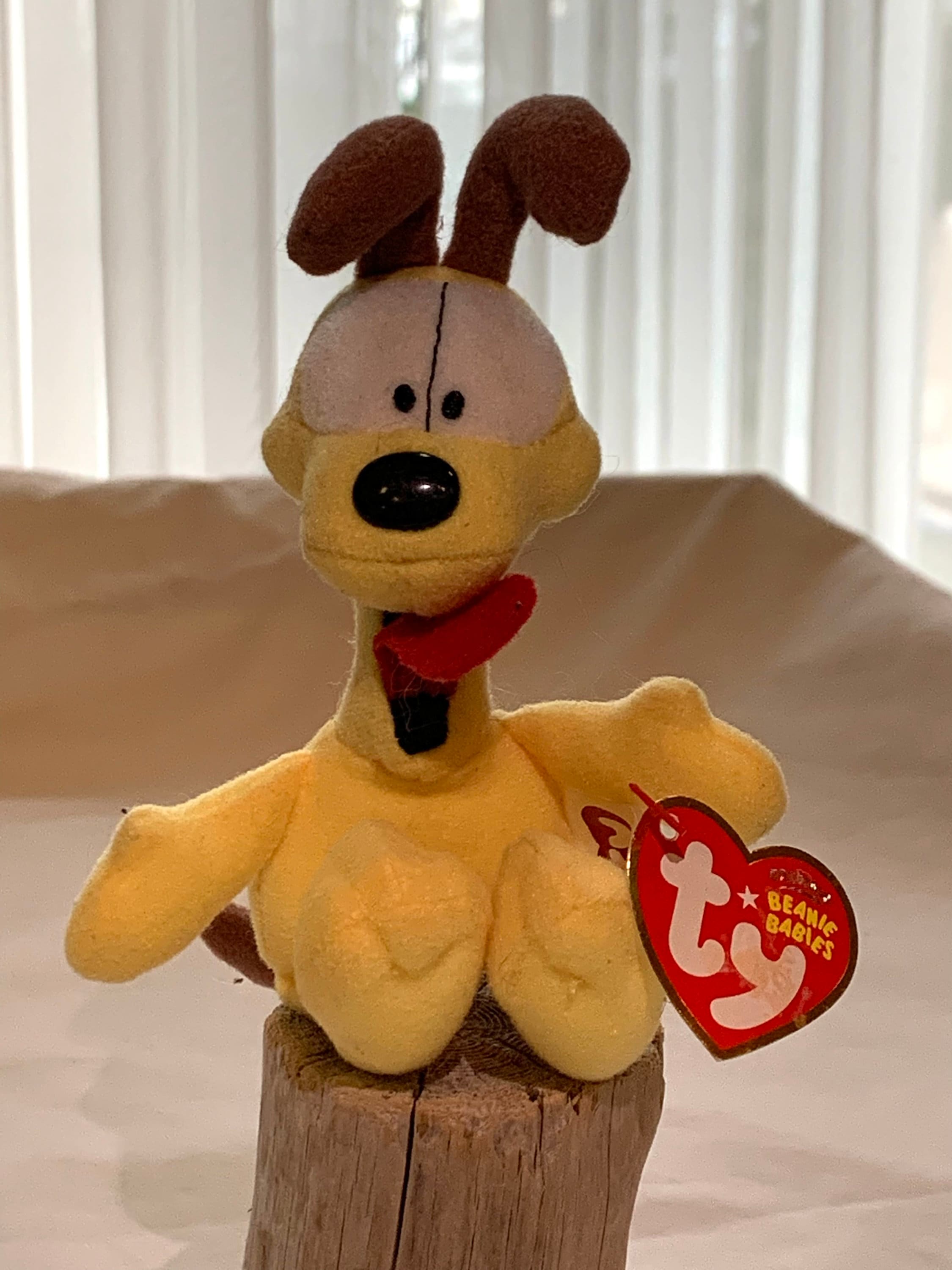TY Odie Beanie Babies. DVD Exclusive Small Odie. Etsy