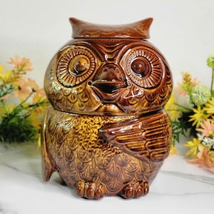 May include: A brown ceramic owl-shaped cookie jar with a lid. The jar features detailed embossed feathers, eyes, and a beak. The owl has a glossy finish and is designed to resemble a real owl. The jar is a decorative kitchen item.
