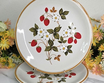 Vintage Sheffield "Strawberries 'n Cream" Stoneware Dinner Plate - Made in Japan - 10.5" - Sold Individually