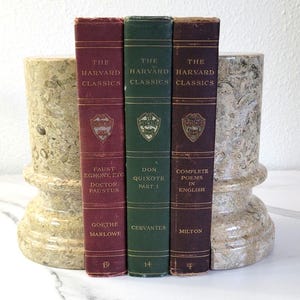 Vintage Polished Coquina Fossilized Shell Stone Pillar Bookends - set of 2 - 7"