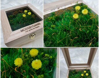Unfinished Wood Craft Box with Window filled with preserved moss  for Arts, Crafts and Birthday Party Favor DIY