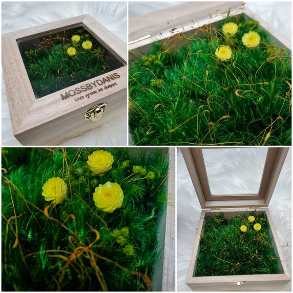 Unfinished Wood Box With Window Etsy