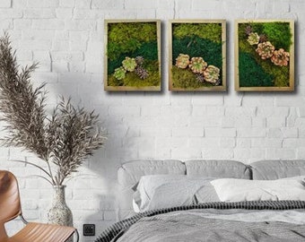 Preserved moss wall art whit artificial  plant