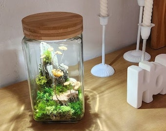 Terrarium of moss and preserved mushrooms with led light.