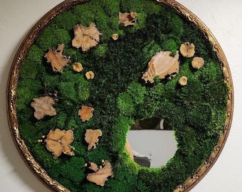 Preserved moss art in antique frame.