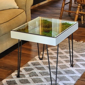 Moss garden coffe table,Furniture with preserved moss,Moss tables,Indoor moss furniture, Indoor tables,Biophilic design,Interior design