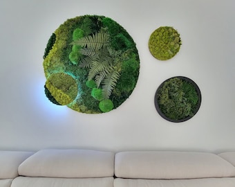 Circular Moss Wall Art-1