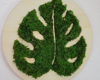 Circle Moss  with monstera leaf