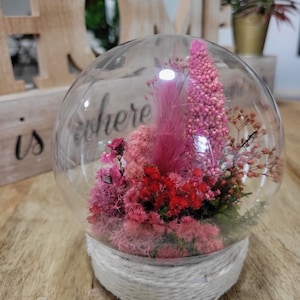 DIY Moss terrarium with Color Art Kit.