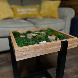 Moss garden coffe table
