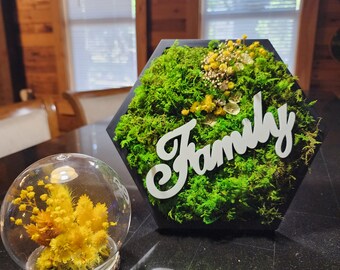 Hexagon moss preserved with Dome terrarium