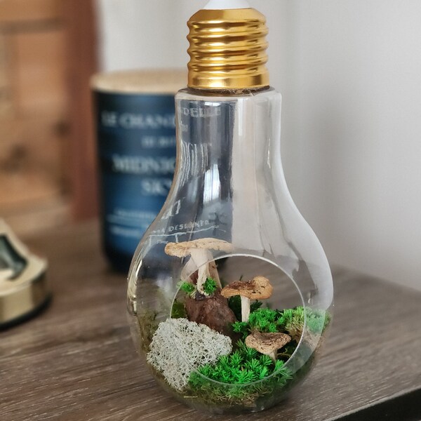 DIY Moss terrarium with Mushrooms Art Kit