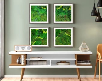 Moss Wall Art (Double frame)
