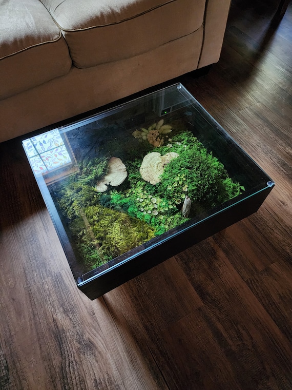 I made a terrarium coffee table. Pics of the build and more info