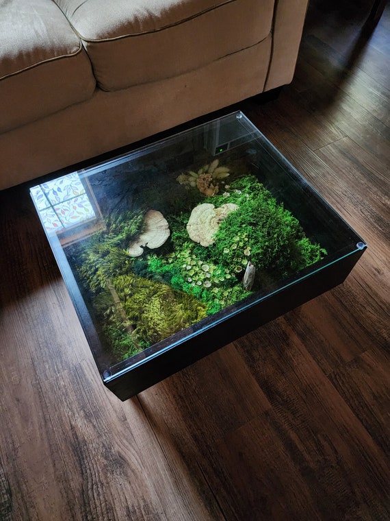 I made a terrarium coffee table. Pics of the build and more info