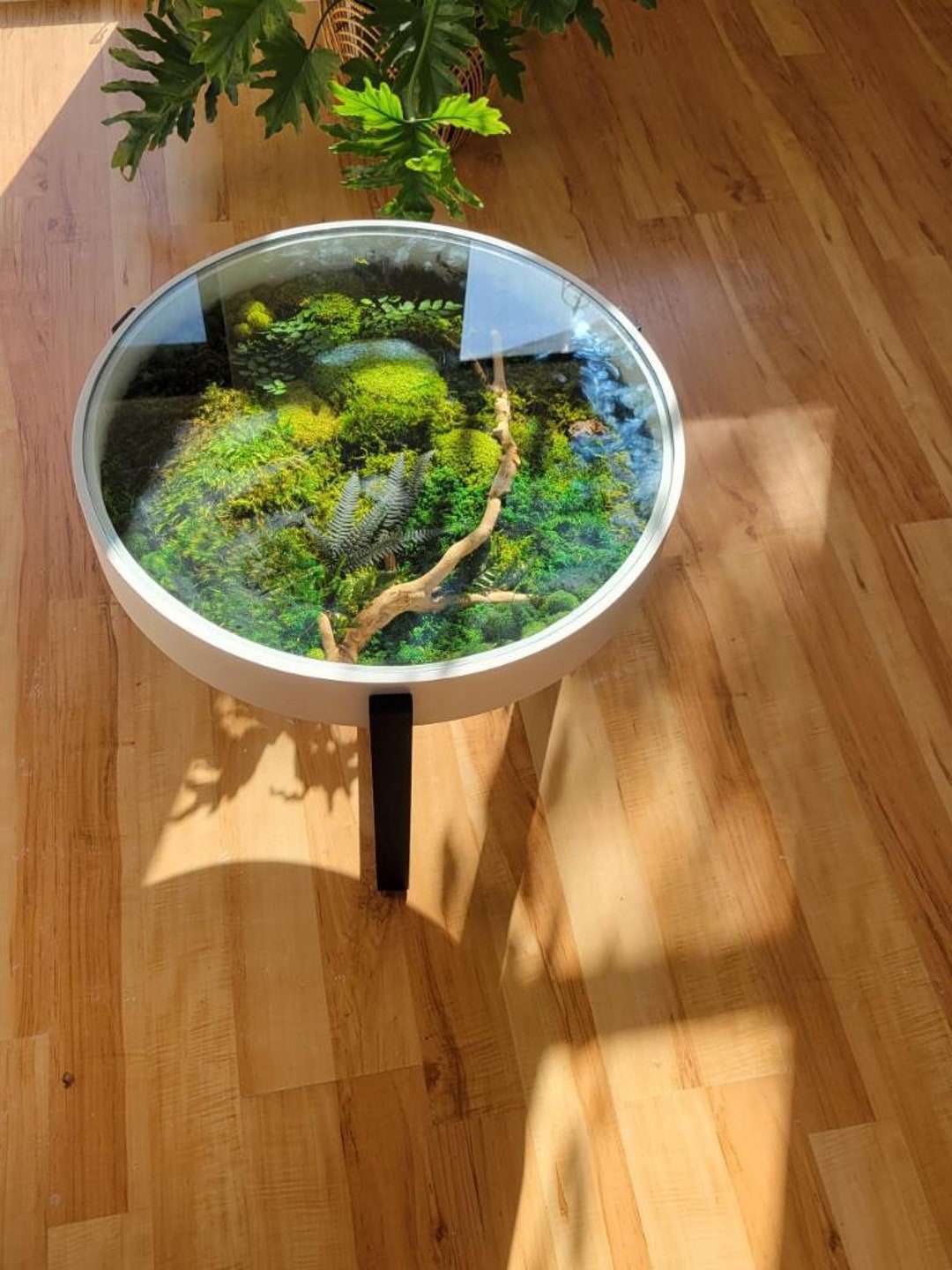 Terrarium Coffee Tables: The Green Oasis Your Home Has Been Missing –  Inspiring Designs