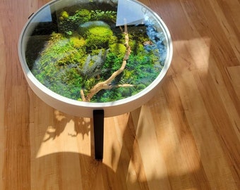 Handmade Moss Terrarium Coffee Table – Biophilic Home Decor