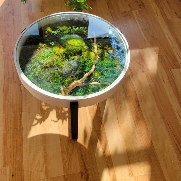 Moss garden coffe table, Furniture with preserved moss, Moss tables,Indoor moss furniture, Indoor tables, Biophilic design, Interior design