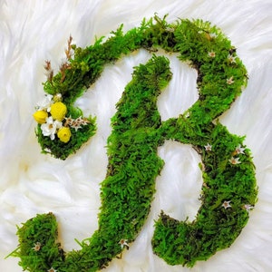 Preserved Moss Letter: Natural Green Wall Decor