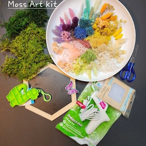 DIY Moss Wall Art. Hexagon Art Kit.