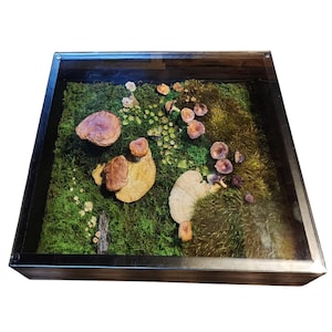 Coffe table Moss & Mushroom,Furniture with preserved moss,Moss tables,Indoor moss furniture, Indoor tables,Biophilic design,Interior design