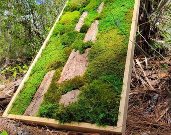 Moss Wall Art