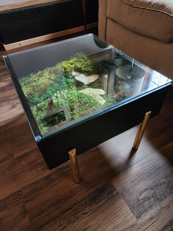 Glass Terrarium Table, Wood Terrarium Table, Tables Plants Home