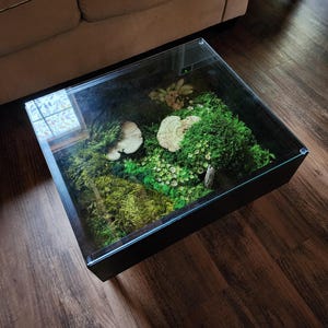 Moss Coffee Table – with Preserved Moss & Natural Wood – Biophilic Design Furniture with Glass Top