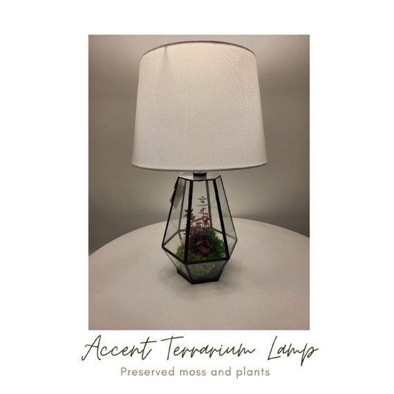 Vaarwel Mammoet Leugen Accent Terrarium Lamp - Etsy