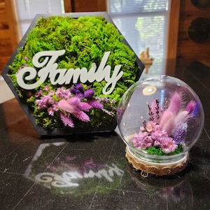 Hexagon moss preserved with Dome terrarium