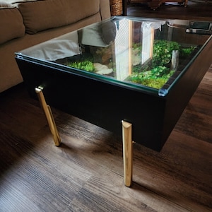 Terrarium table complete! Made out of clearance lumber and stuff I