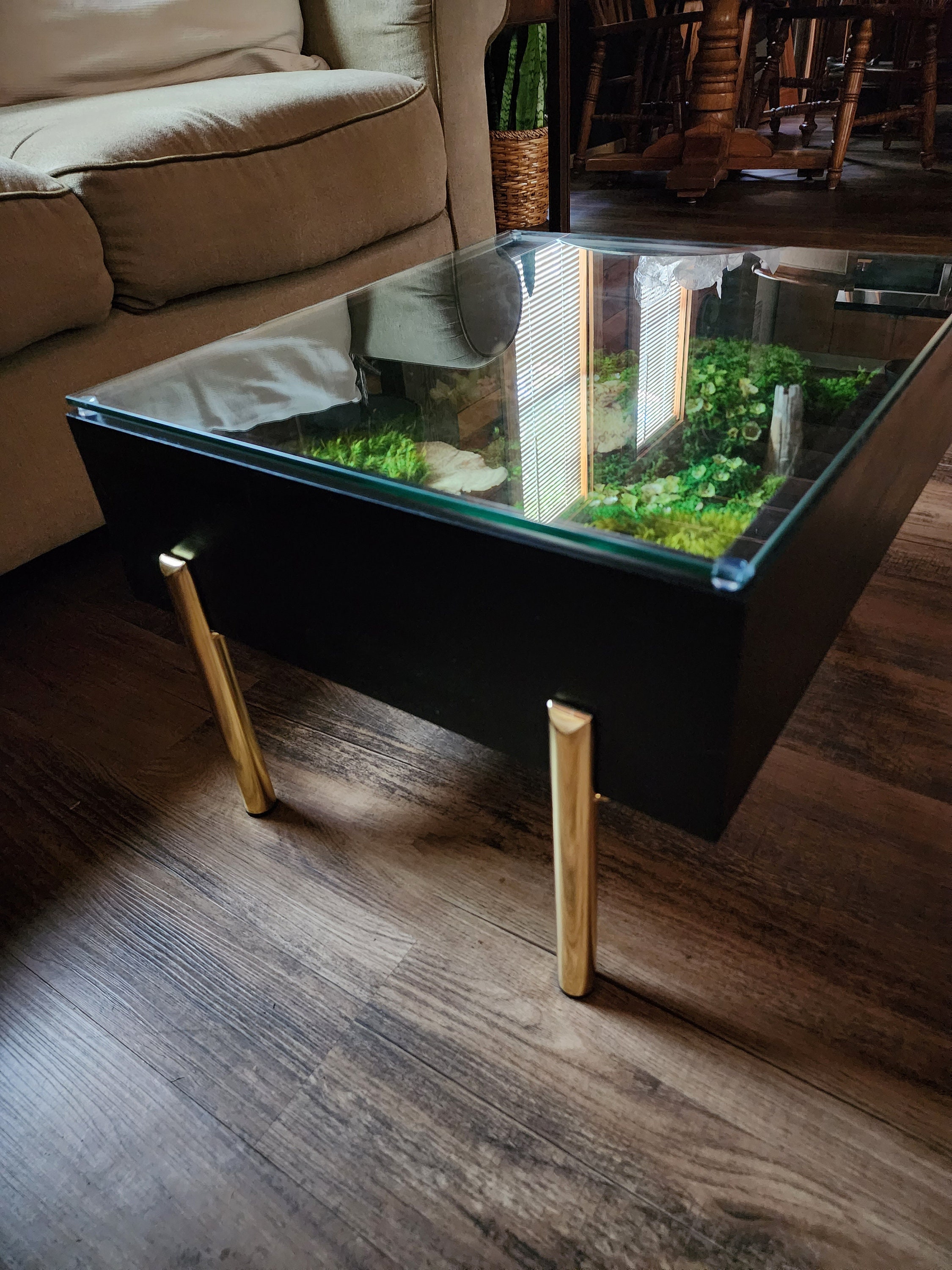Glass Terrarium Table, Wood Terrarium Table, Tables Plants Home
