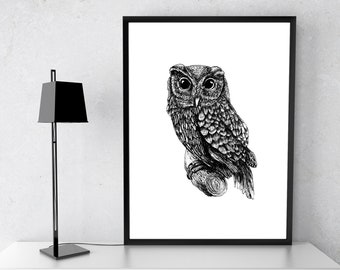 Owl Print, Animal Print, Wall Art, Owl Poster Digital Download