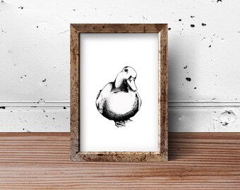 Duck Print, Animal Print, Wall Art, Duck Poster Digital Download