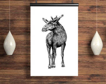 Moose Print, Animal Print, Wall Art, Moose Poster Digital Download