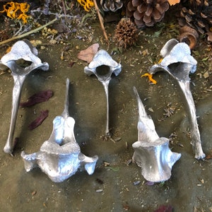 Silver Painted Bones! Real Bones! Lot of 5!