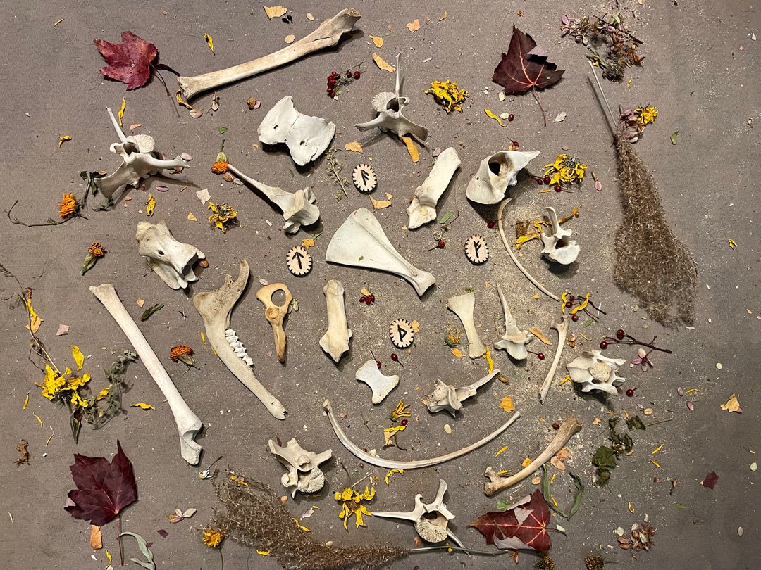 Large Box of Bones and Runes! 25 Bones and 4 Runes! for Crafting ...