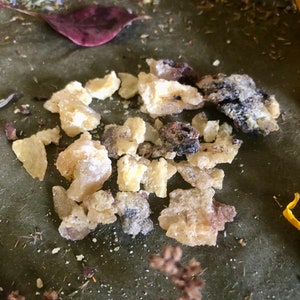 Norway Spruce Tree Resin Sap Incense