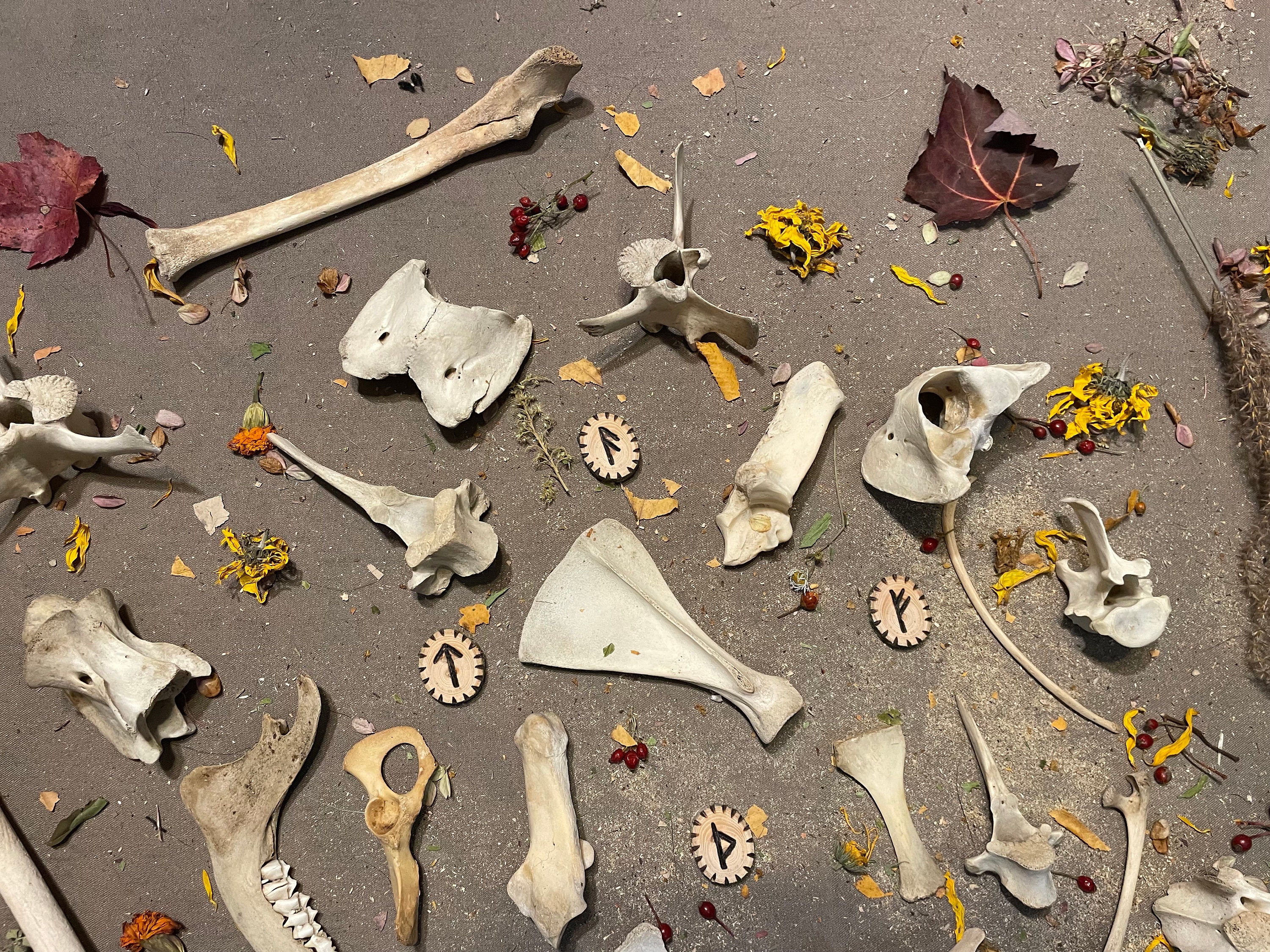Large Box of Bones and Runes! 25 Bones and 4 Runes! for Crafting ...