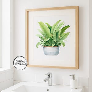 Peut inclure: Une impression encadrée à l'aquarelle d'une plante en pot avec de grandes feuilles vertes. La plante est dans un pot à rayures bleu clair et blanc. Le cadre est brun clair. L'image est accrochée sur un mur blanc au-dessus d'un évier blanc.