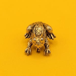 May include: A gold-toned metal frog brooch with a textured, bumpy surface finish. The frog is depicted in a crouching position with its front legs extended forward and its back legs tucked to the sides. It features two small, smooth, round eyes.
