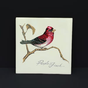 May include: A ceramic tile featuring a hand-drawn illustration of a purple finch perched on a branch. The bird is red, black, and white. The tile has the text "Purple Finch" written in cursive.