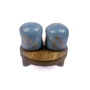 May include: A set of two blue ceramic salt and pepper shakers with a leaf design on a wooden stand.