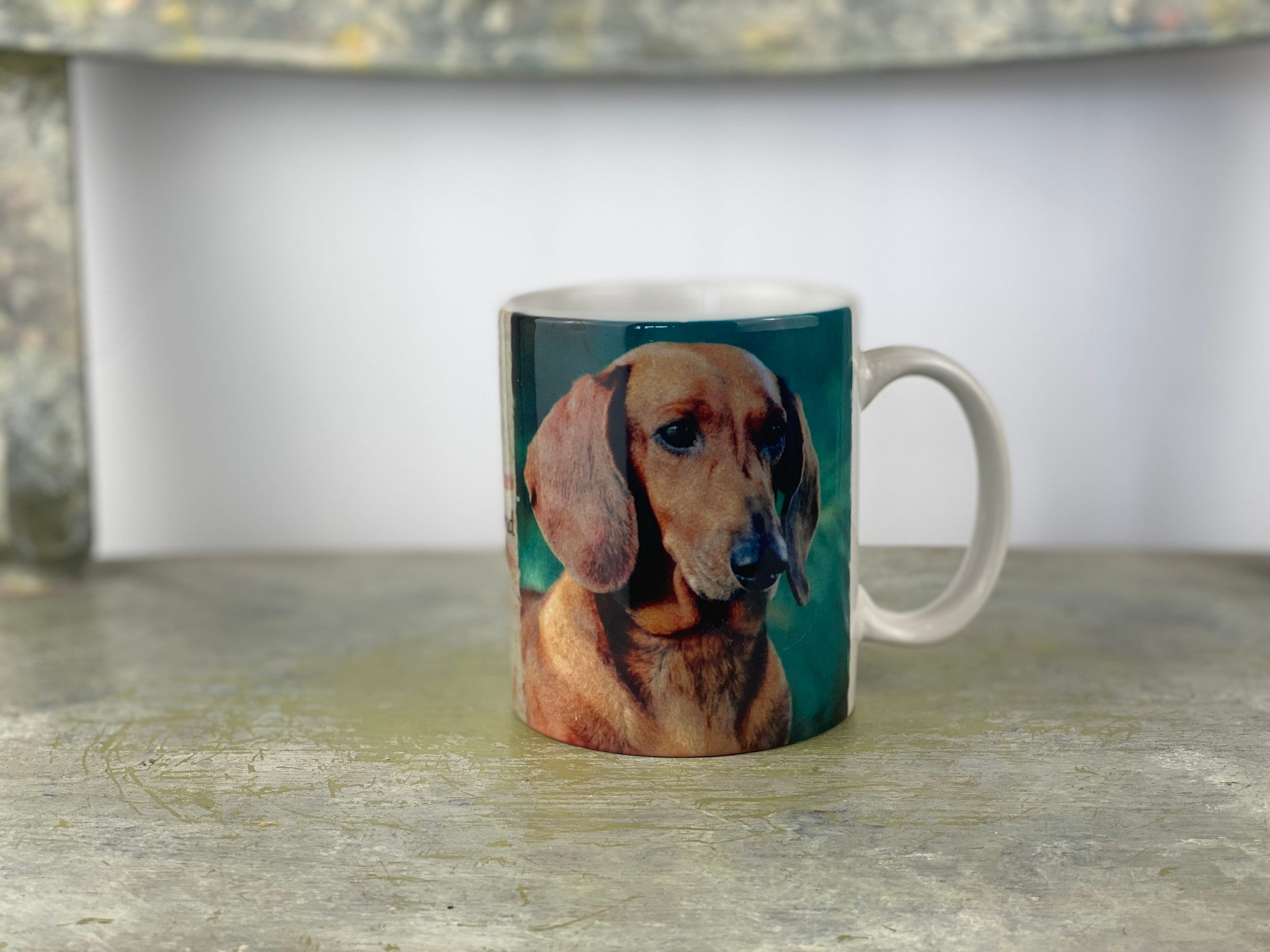 Vintage 90s Puppy Xpres Barbara Augello Dachshund Dog Colorful