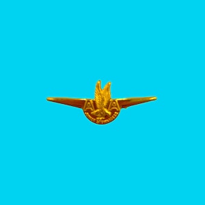 Vintage 60er oder 70er Jahre American Fluglineline Junior Stewardess Flügel Pin Luftfahrt Flugzeug Brosche