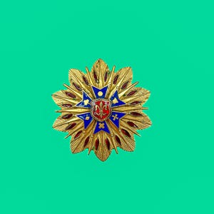 Vintage Goldton rot blau Emaille Heraldic Starburst Pin Anhänger - Einzigartiges Schild & Fleur De Lis Design 6,5 cm