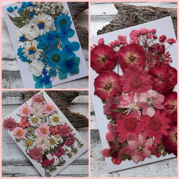 gepresste, getrocknete Blumen als Set für deine Projekte, für Kunstharz, Epoxidharz, Resin, UV-Harz, Schleierkraut, Hortensie, Rosen