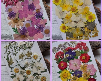 gepresste, getrocknete Blumen als Set für deine Projekte, für Kunstharz, Epoxidharz, Resin, UV-Harz, Schleierkraut, Hortensien, Rosen
