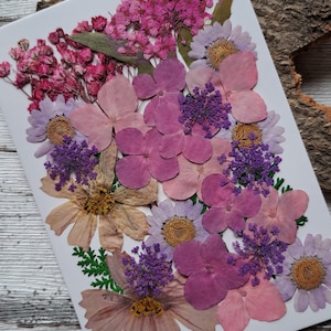 Pressed, dried flowers as a set for your projects, for synthetic resin, epoxy resin, resin, UV resin, gypsophila, hydrangeas, roses image 2